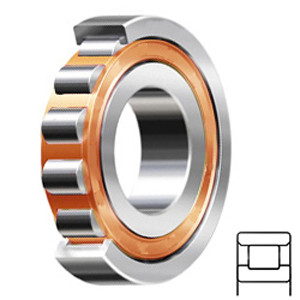 NSK N1017BTKRCC1P4 Cylindrical Roller Bearings