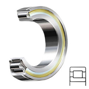 INA SL192316-C3 Cylindrical Roller Bearings