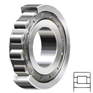 SKF NJ 322 ECJ/C3 Cylindrical Roller Bearings