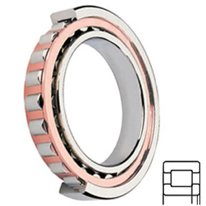 FAG BEARING NUP316-E-TVP2-C3 Cylindrical Roller Bearings