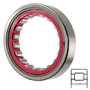 SKF RNU 304 Cylindrical Roller Bearings