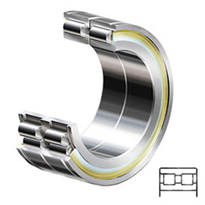 INA SL045008-PP-2NR Cylindrical Roller Bearings