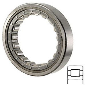 TIMKEN 5226-WS Cylindrical Roller Bearings