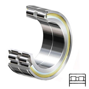 INA SL06018-E Cylindrical Roller Bearings