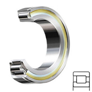 NTN MU1921DAHM Cylindrical Roller Bearings