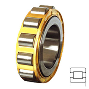 SKF RN 2010 ECM/VB013 Cylindrical Roller Bearings