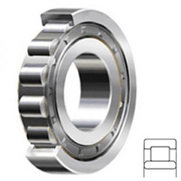 FAG BEARING NU206-E-JP1 Cylindrical Roller Bearings