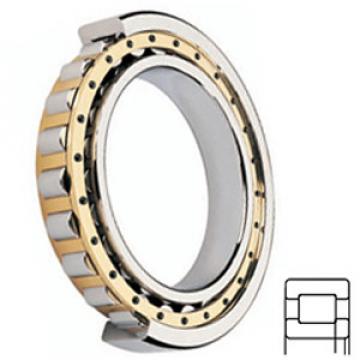 FAG BEARING NUP211-E-M1 Cylindrical Roller Bearings