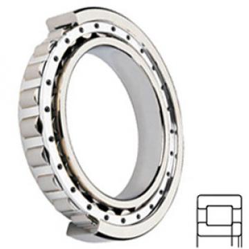 NSK NUP207W Cylindrical Roller Bearings