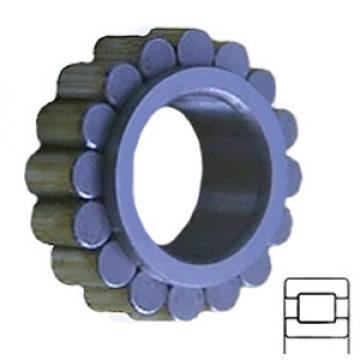 INA RSL182315 Cylindrical Roller Bearings