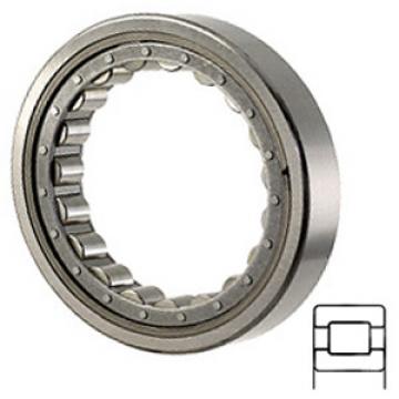 NTN M1016EAHL Cylindrical Roller Bearings