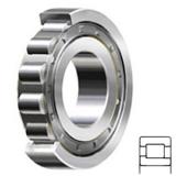 NSK NJ202W Cylindrical Roller Bearings