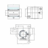 Bearing LUNE 25 SKF